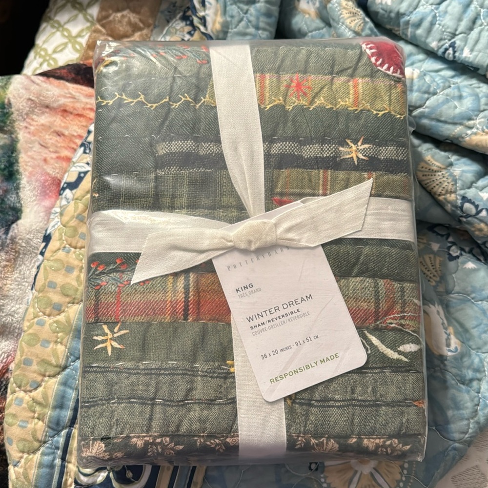 Pottery Barn Winter Dreams pillow shams